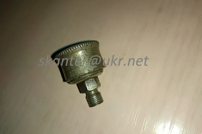 Маслянка ковпачкова 6.3- фото № 1