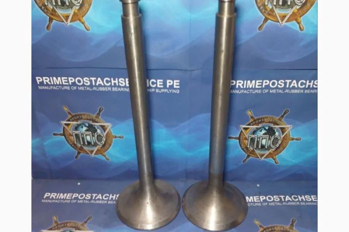 Капан газорозподілу всмоктування ДВЗ 6NVD48AU- фото № 1