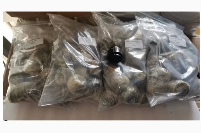 Клапан 2-го ступеня, 2ОК1.87.1СБ-2- фото № 1