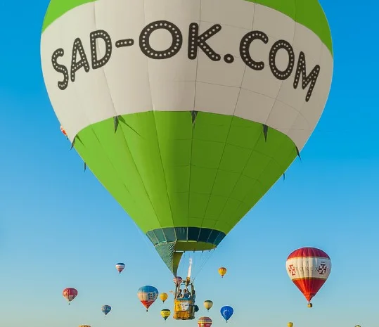 Двигатель Weima Вейма Бензин - Дизель. Шлиц. Шпонка. 6-20 л.с- фото № 12