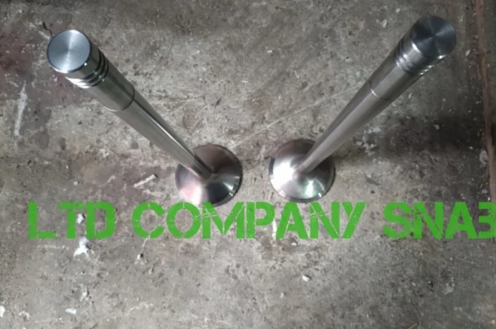 Клапан впускной Д50.09.009 и выпускной Д50.09.010- фото № 1