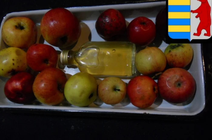 Яблочный уксус для волос: естественный уход и красота прядей- фото № 12