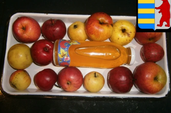 Яблочный уксус для омывания волос- фото № 2