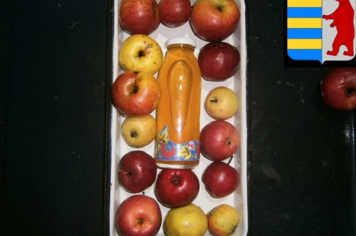 Яблочный уксус для красоты волос- фото № 4