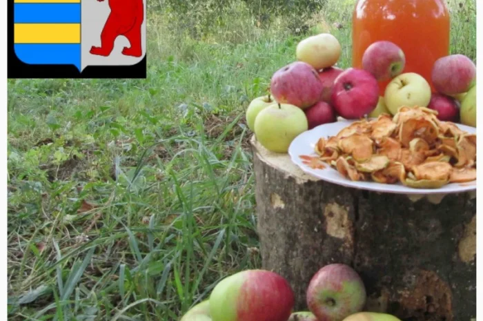 Яблочный уксус и ощелачивание организма: факты и заблуждения- фото № 4