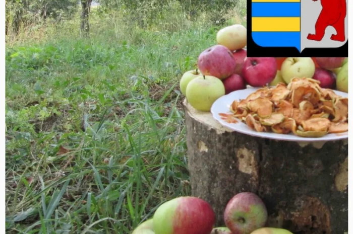 Уксус для волос: натуральное решение против перхоти и не только- фото № 19