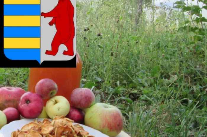 Натуральный яблочный уксус: забота о здоровье с естественными преимуществами- фото № 17