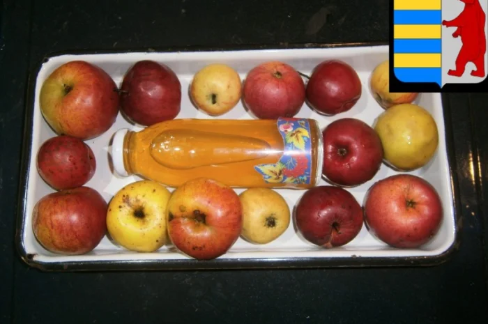 Как использовать яблочный уксус для жирных волос- фото № 8