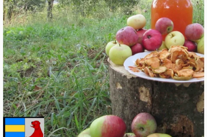 Яблочный уксус для волос: тайна здоровья и красоты- фото № 15