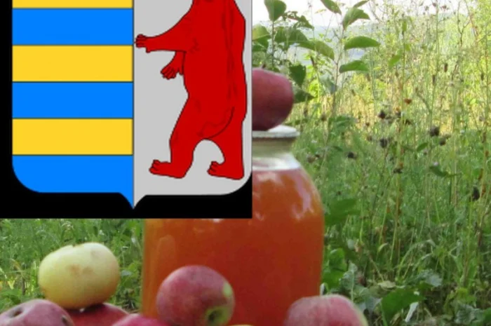 Яблочный уксус и снижение уровня сахара в крови- фото № 1