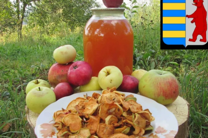 Яблочный уксус в народной медицине: древнее средство для здоровья и благополучия- фото № 19