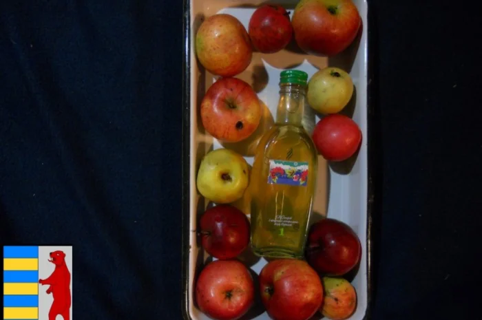 Яблочный уксус для роста волос- фото № 8