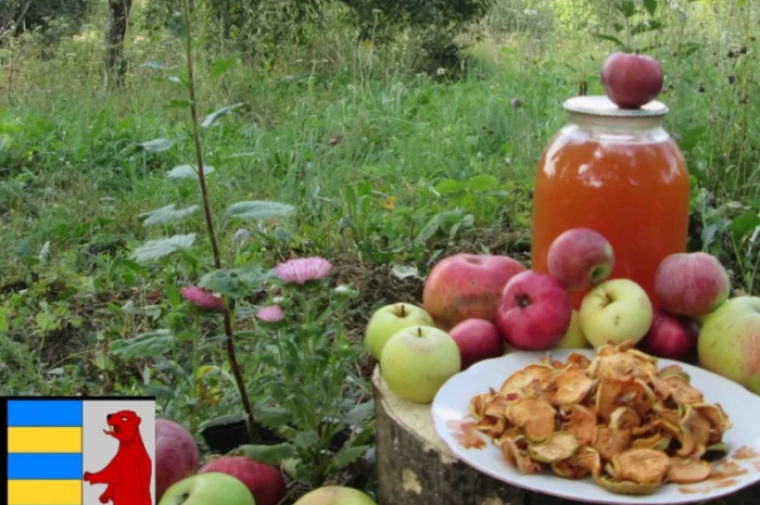 Яблочный уксус для роста волос- фото № 18