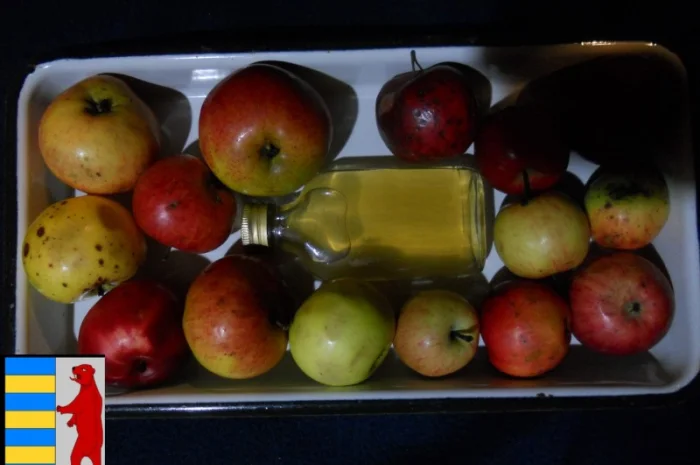 Домашний яблочный уксус: приготовление и преимущества- фото № 5