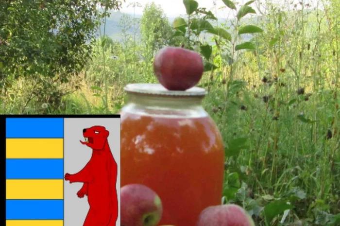 Яблочный уксус и кашель: полезная информация- фото № 17