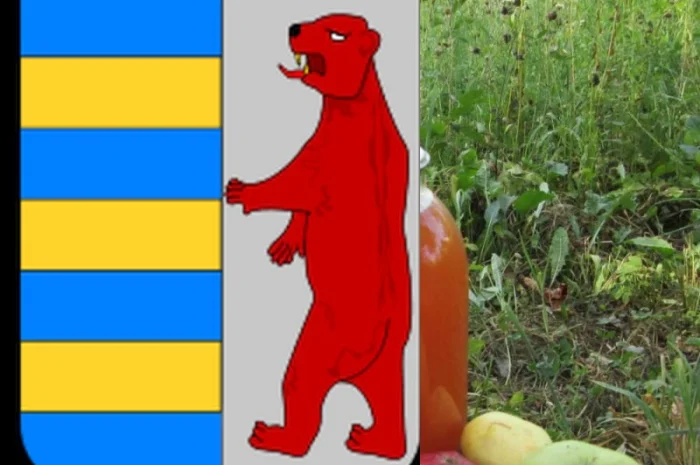 Яблочный уксус и кашель: полезная информация- фото № 15