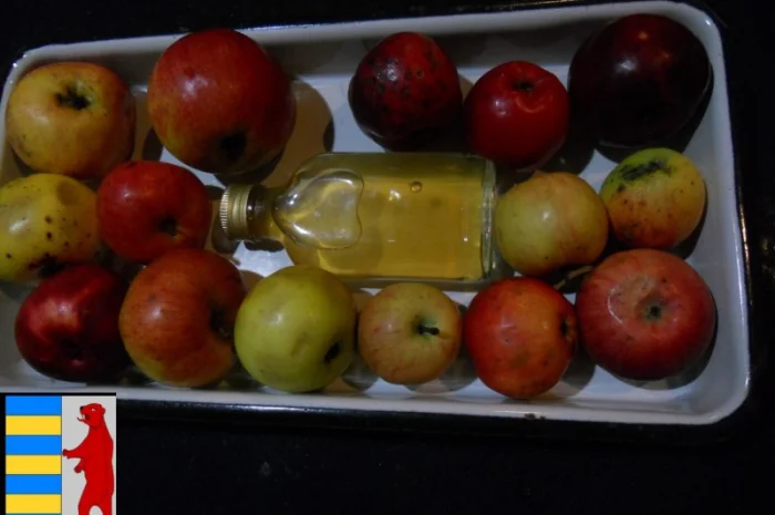 Яблочный уксус: правильная суточная доза для вашего здоровья- фото № 10