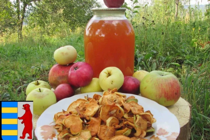 Яблочный уксус настоянный на травах: натуральное вдохновение для вашего здоровья- фото № 1