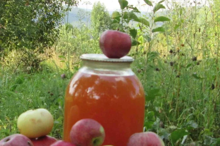 Уксус яблочный домашний с горного сада Карпат- фото № 1