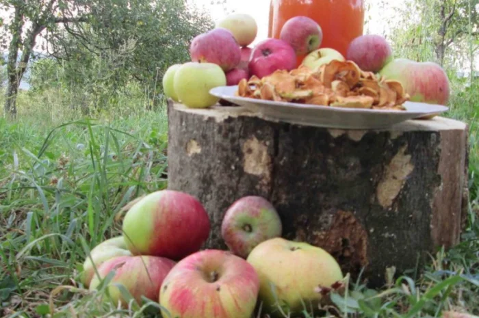 Уксус яблочный домашний с горного сада Карпат- фото № 2