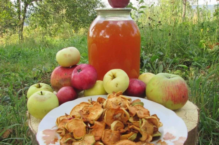 Уксус яблочный домашний с горного сада Карпат- фото № 3