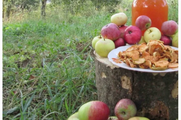 Уксус яблочный домашний с горного сада Карпат- фото № 4