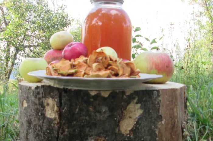 Уксус яблочный домашний с горного сада Карпат- фото № 5