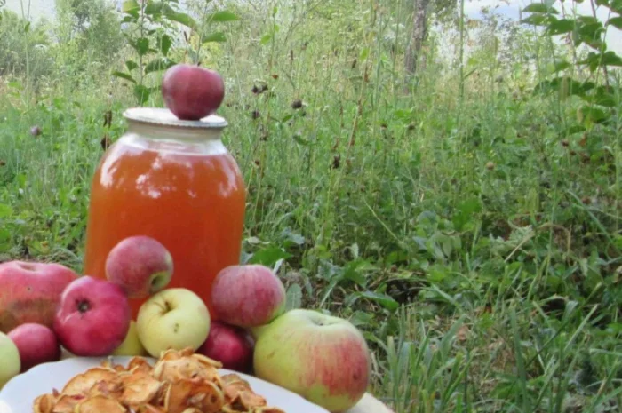 Уксус яблочный домашний с горного сада Карпат- фото № 6