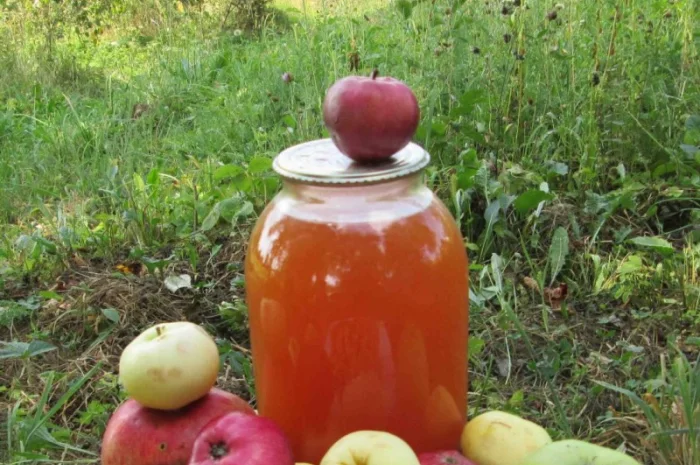 Уксус яблочный домашний с горного сада Карпат- фото № 7