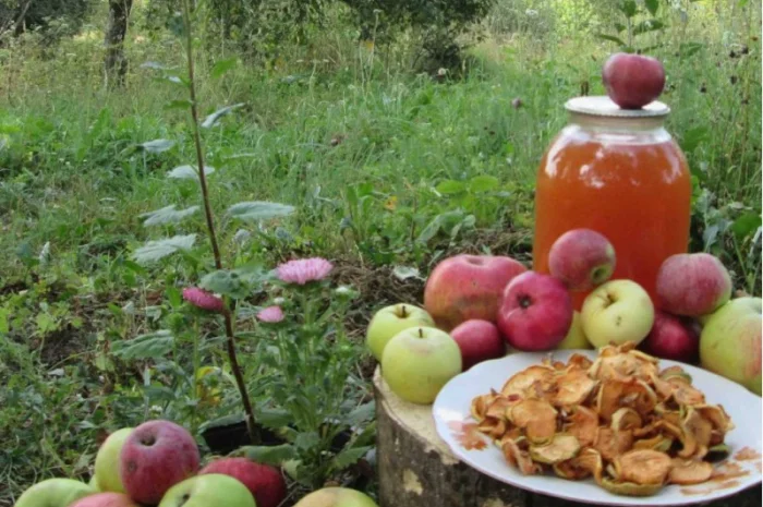 Уксус яблочный домашний с горного сада Карпат- фото № 8