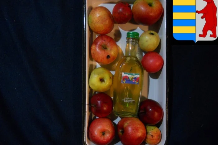 Яблочный уксус для масок волос: секрет красоты и здоровья ваших локонов- фото № 2