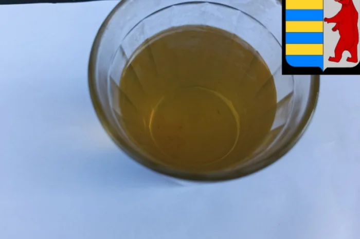 Ингаляции из яблочного уксуса: естественное облегчение дыхательных проблем- фото № 1