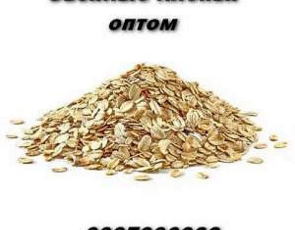 Овсяные хлопья оптом в Украине по выгодной цене- фото № 1