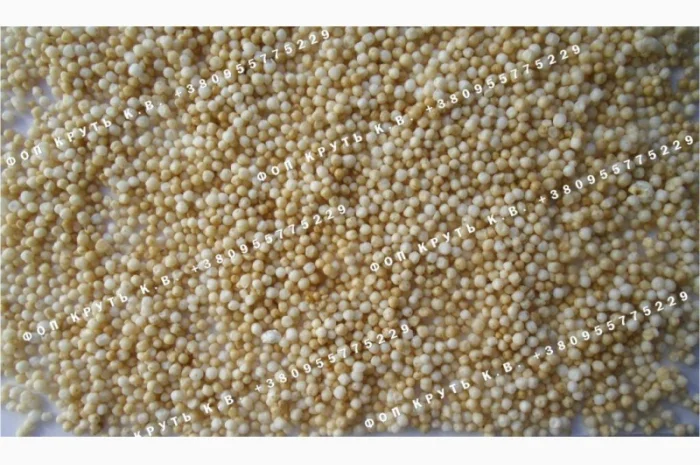 Амарант повітряний, підірваний, висаджений Puffed amaranth- фото № 1