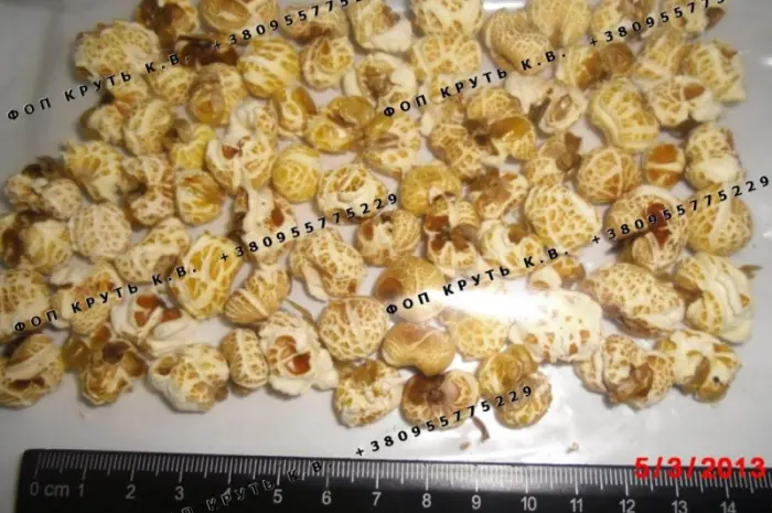 Повітряна кукурудза висаджена 1кг Puffed Corn- фото № 1