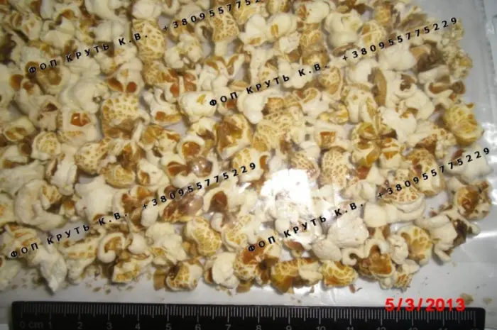 Повітряна кукурудза висаджена 1кг Puffed Corn- фото № 2