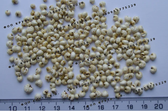 Повітряне пшоно 1кг для кондитерських виробів та сніданків- фото № 1