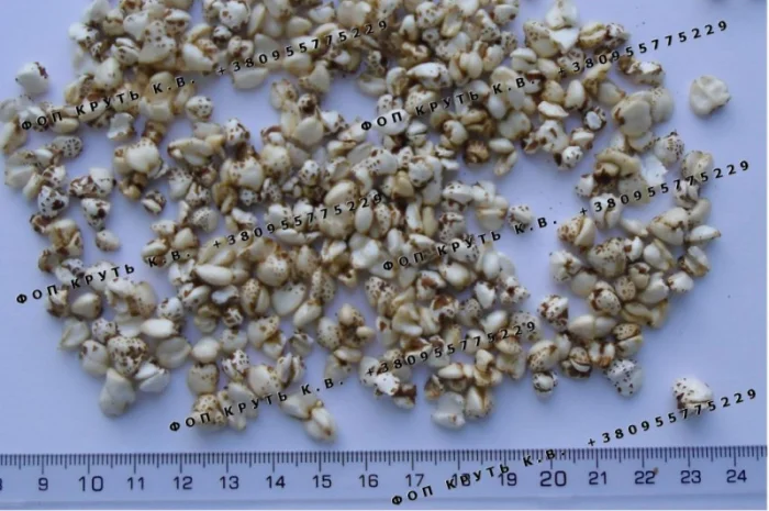 Гречка висаджена повітряна Puffed buckwheat- фото № 1