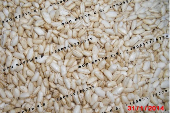Рис повітряний висаджений Puffed rice- фото № 1