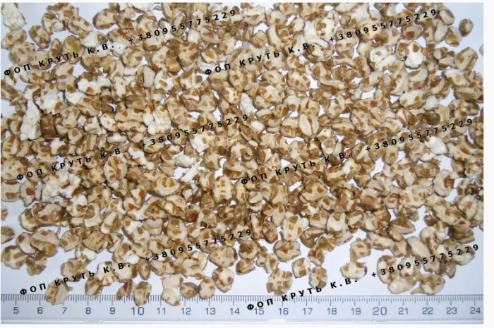 Полба повітряна цільнозернові- фото № 1