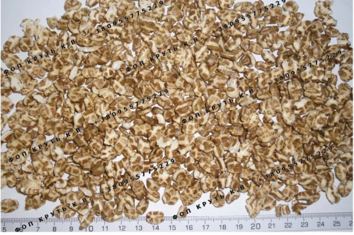 Спельта повітряна цільнозернова, дута, висаджена Pufffed spelt- фото № 1