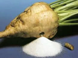 Есть покупатели сахара. Форма оплаты любая от 100 тонн- фото № 3