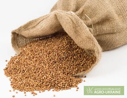 Сахар мешок Киев! Доставка- фото № 2