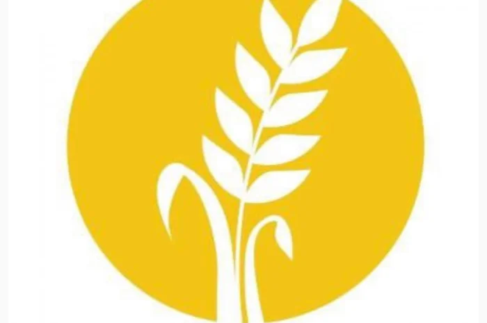 Сіль, Соль- фото № 1