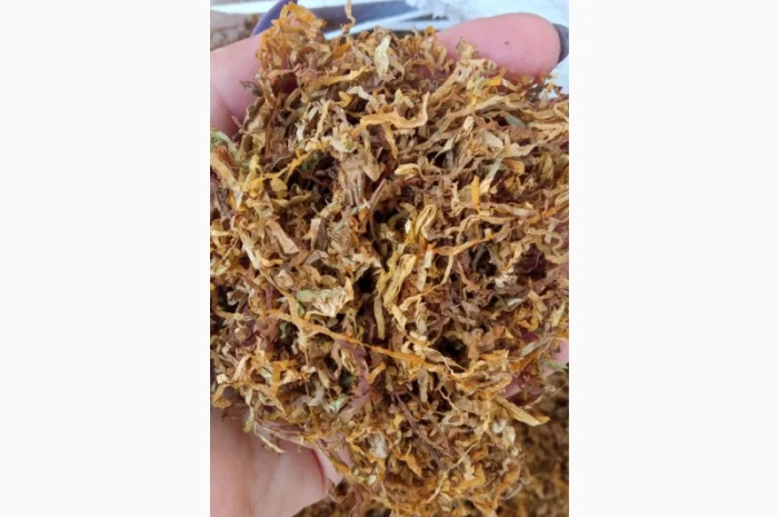 Бонд, Кемел, Ротманс, Вест, ЛД, Прилуки, Мальборо- фото № 2