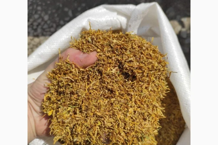 Бонд, Кемел, Ротманс, Вест, ЛД, Прилуки, Мальборо- фото № 3