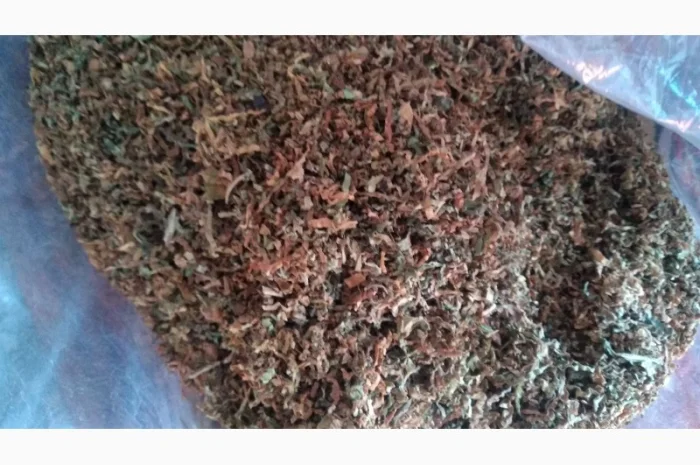 Бонд, Кемел, Ротманс, Вест, ЛД, Прилуки, Мальборо- фото № 5