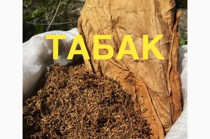 Продам табак цена за 1 кг от 380 грн- фото № 1