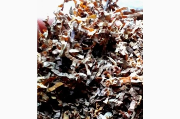 Много сортов сигаретная порезка и лапша, кемел, Честер, Давидов, парламент, голд, руно- фото № 6