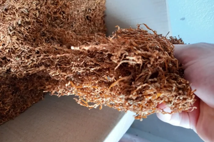 Предлагаю ТАБАК отличное качество.От лёгкого к крепкому- фото № 10